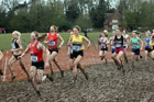 Senior womens 2018 British Inter Counties Cross Country Champs., Prestwold Hall, Loughborough. Photo: David T. Hewitson/Sports for All Pics